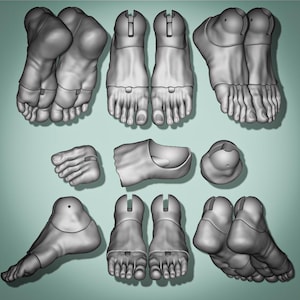 May include: A collection of gray 3D-printed foot models, including multiple views of feet and individual foot parts. The models are arranged on a light green background, showcasing various angles and details of the foot anatomy.