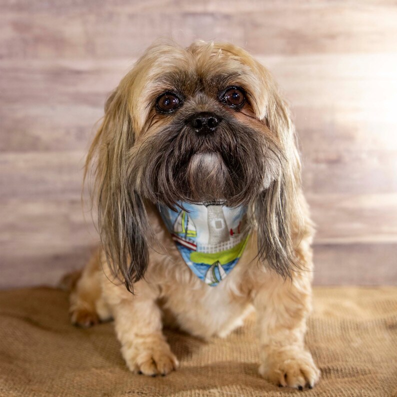 Dog Bandana 25/% Off Reship Discount