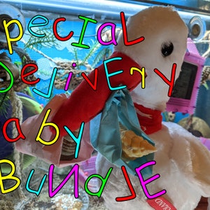 Special Delivery Baby Hermit Crab Bundle / For Baby Hermit Crabs / Hermit Crab Enrichment Item / Hermit Crab Decor / LHCOS Approved Store