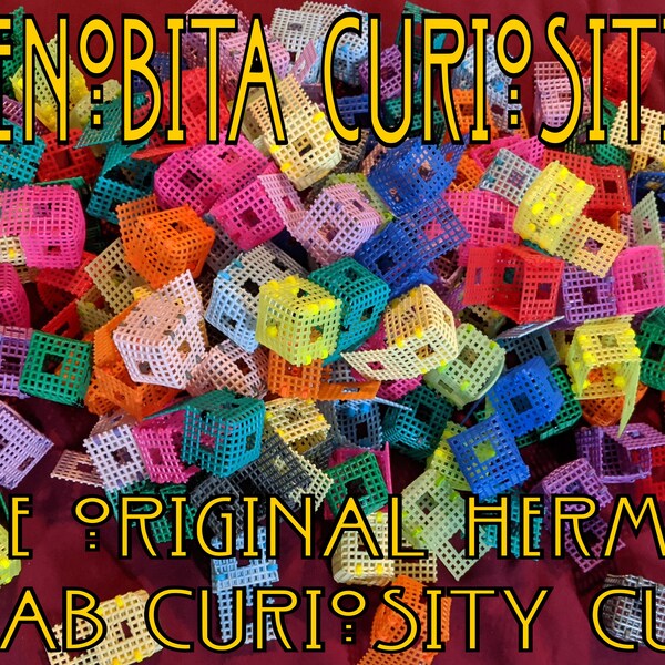 THE ORIGINAL Curiosity Cube