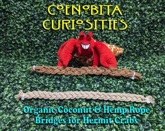 ORGANIC Climbing Bridges/Ladder/Vines for Hermit Crabs (Please Read Full Description)