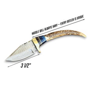 May include: A 3 1/2-inch knife with a patterned blade and an antler handle. The handle has blue and gold accents. Text on the image reads: "HANDLE WILL ALWAYS VARY - EVERY ANTLER IS UNIQUE."