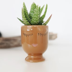 Caramel Cecilia Planter - Cute Celfie Face Pot for Succulents and Small Plants in Light Brown