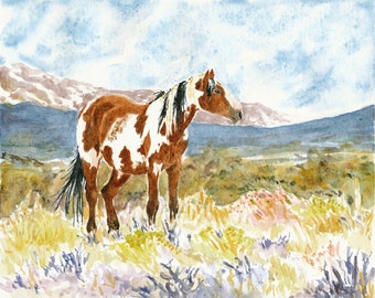 Impression aquarelle Picasso Wild Horse / Faune du Colorado / Étalon / Art de paysage de montagne