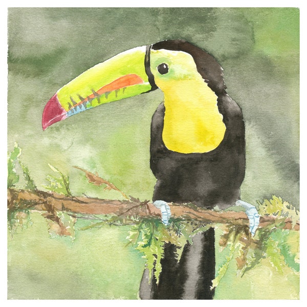 Toucan Watercolor Print / Tropical Bird / Wildlife Art