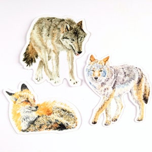 Fox, Wolf and Coyote Stickers, 3&quot; Weatherproof Vinyl Stickers, Wild Animals, Watercolor Wildlife Art