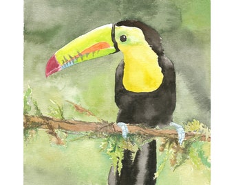 Impression aquarelle toucan / oiseau tropical / art animalier