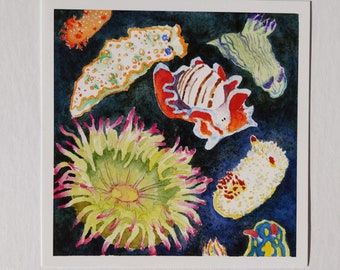 Sea Clowns watercolor print / Sea slugs and purple anemone / Oregon coast tidepool creatures / Nudibranch and ocean wildlife