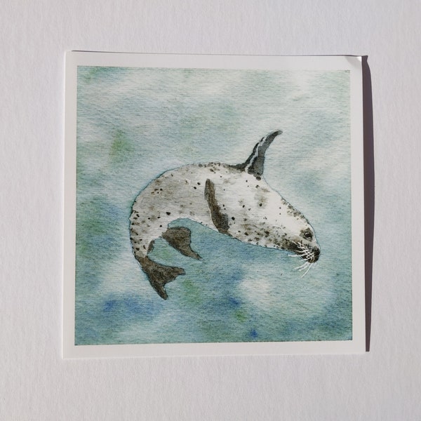 Dancing Spotted Seal watercolor print / Ocean and coastal creature