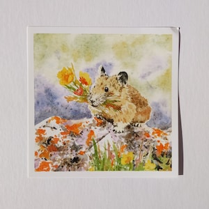 Pika watercolor print / Mountain mammal / Lichen and wildflowers / Spring animal