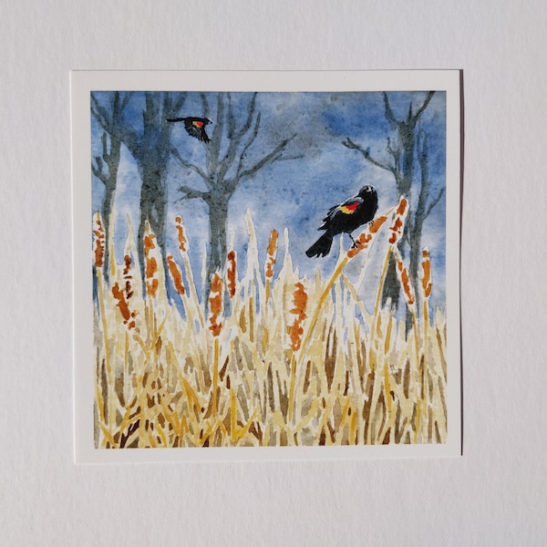 Red Winged Blackbird watercolor print
