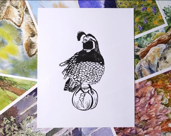 Quail on a Peach Block Print / California Quail / Linocut Print / Oregon Country Fair / Bird and Wildlife Art