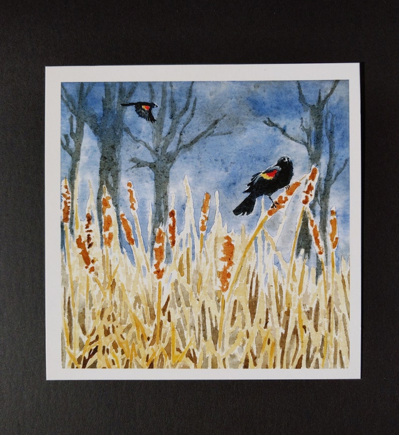 Peut inclure: Peinture &agrave; l'aquarelle de deux oiseaux noirs avec des marques rouges perch&eacute;s sur de hautes roseaux bruns. Les oiseaux sont sur un fond de ciel bleu avec des arbres en arri&egrave;re-plan.
