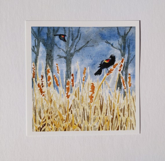 Red Winged Blackbird watercolor print