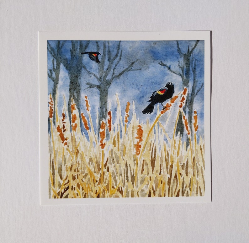 Peut inclure: Peinture &agrave; l'aquarelle de deux oiseaux noirs avec des marques rouges perch&eacute;s sur de hautes roseaux bruns dans un champ. L'arri&egrave;re-plan est un ciel bleu avec des arbres au loin.