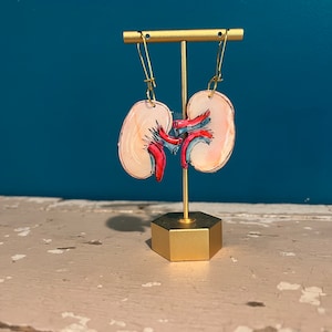 Anatomische Niere Ohrringe - Niere Geschenk - Geschenk für Nephrologie/Nephrologen/Diadiatiker - Ohrringe- Pin- Anhänger - Magnet