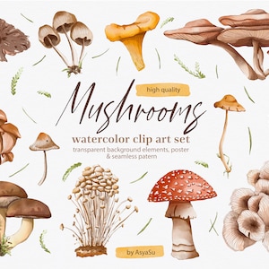Pilze Aquarell digitale Clipart - Individuelle PNG-Dateien Grafik-Set - Küchendekor, Kochbuch, Food Magazine, Restaurant Menü
