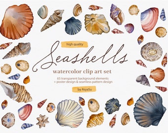 Seashells Watercolor Digital Clipart - Individual PNG Files Graphic Set - Home Decor, Magazine Illustrations