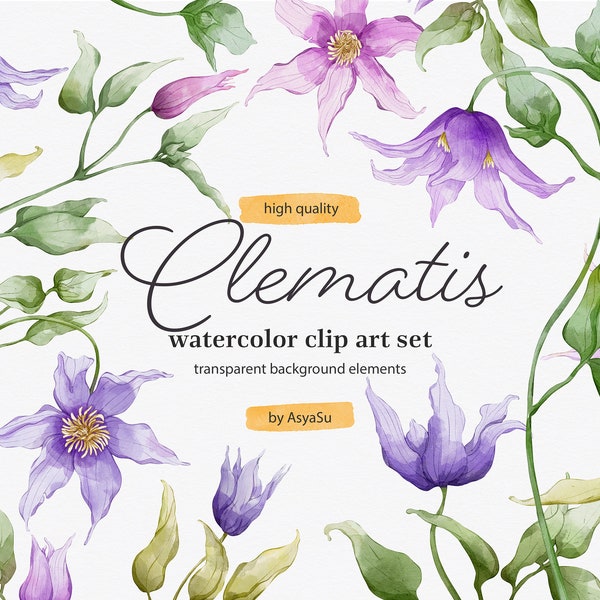 Clematis Botanische Aquarel Digitale Clipart - Individuele PNG-bestanden Grafische Set - Bruiloft Bloemenelementen