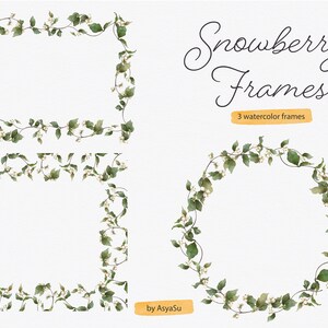 Snowberry Botanical Watercolor Frames Individual PNG Files - Wedding Floral Elements