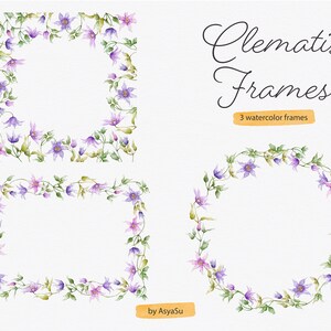 Clematis Floral Botanical Watercolor Frames Individual PNG Files - Wedding Floral Elements