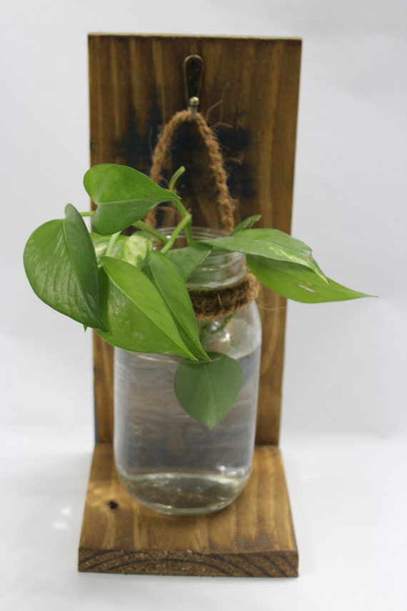 Mason Jar Wall Hanger/planter Etsy