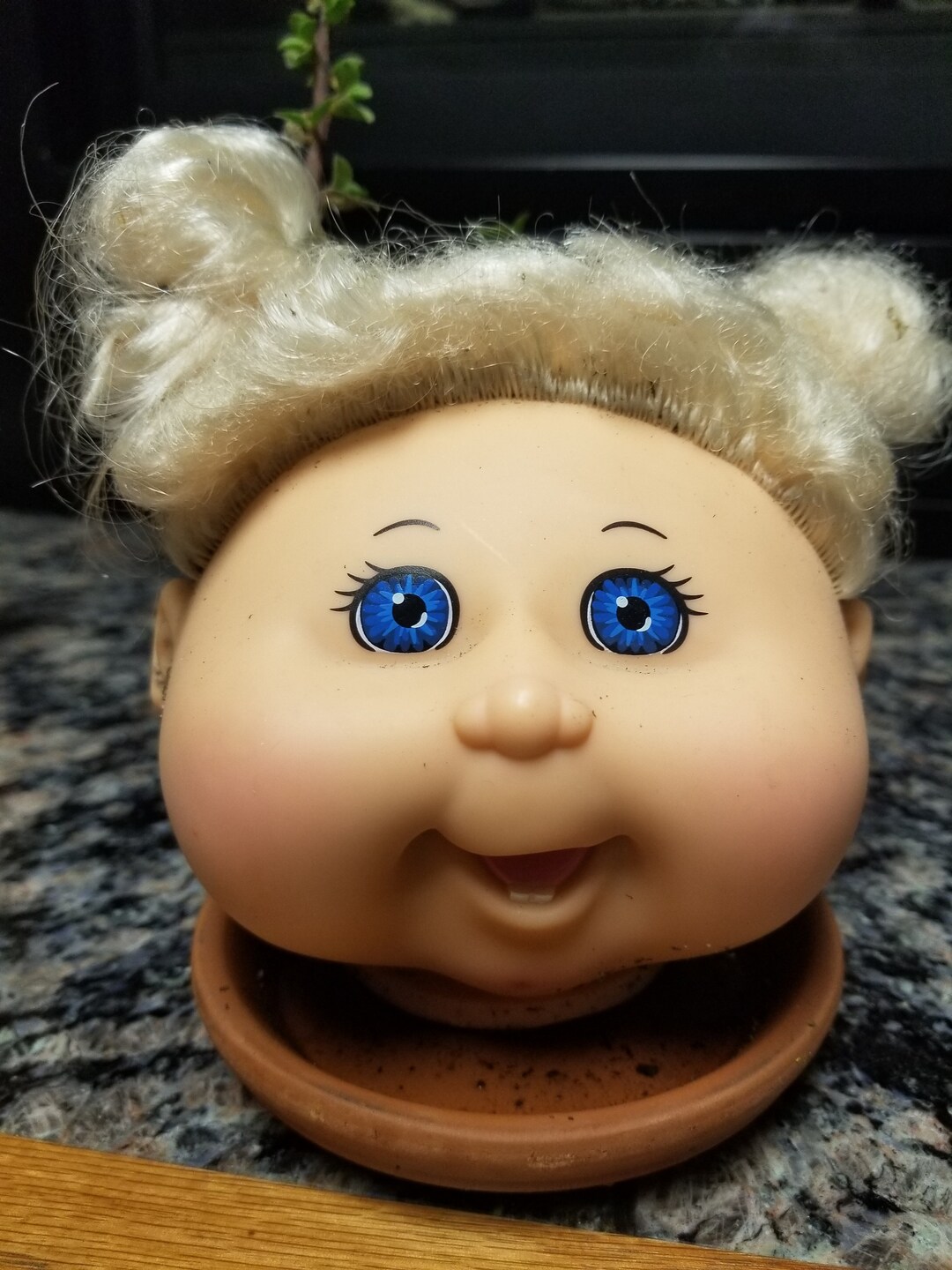 Cabbage Patch Head Planter Etsy