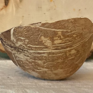 Coconut bowl