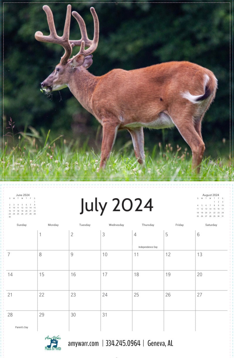 2024 Smoky Mountains Wall Calendar Etsy