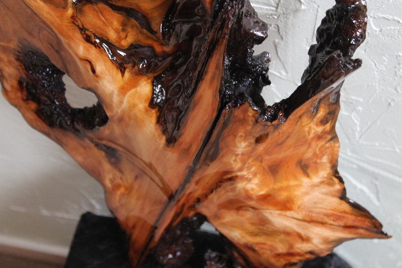 Stunning Ancient New Zealand Swamp Kauri Natural Burl Etsy