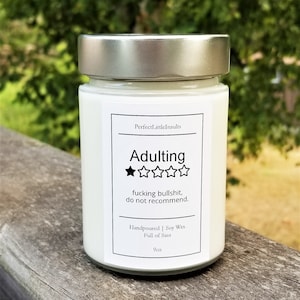 Adulting Review Candle, 1 Star Review Candle, Funny Candle, Housewarming Gift, Swear Candle, Funny Gift, Adult Gift, Scented Candle, Soy Wax