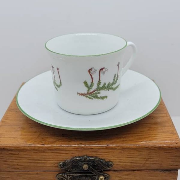 Porsgrund Porcelain Mountain Flower Series Flat Demitasse Cup and Saucer Set, Made in Norway, White with Green Trim, White Flowers (2110)
