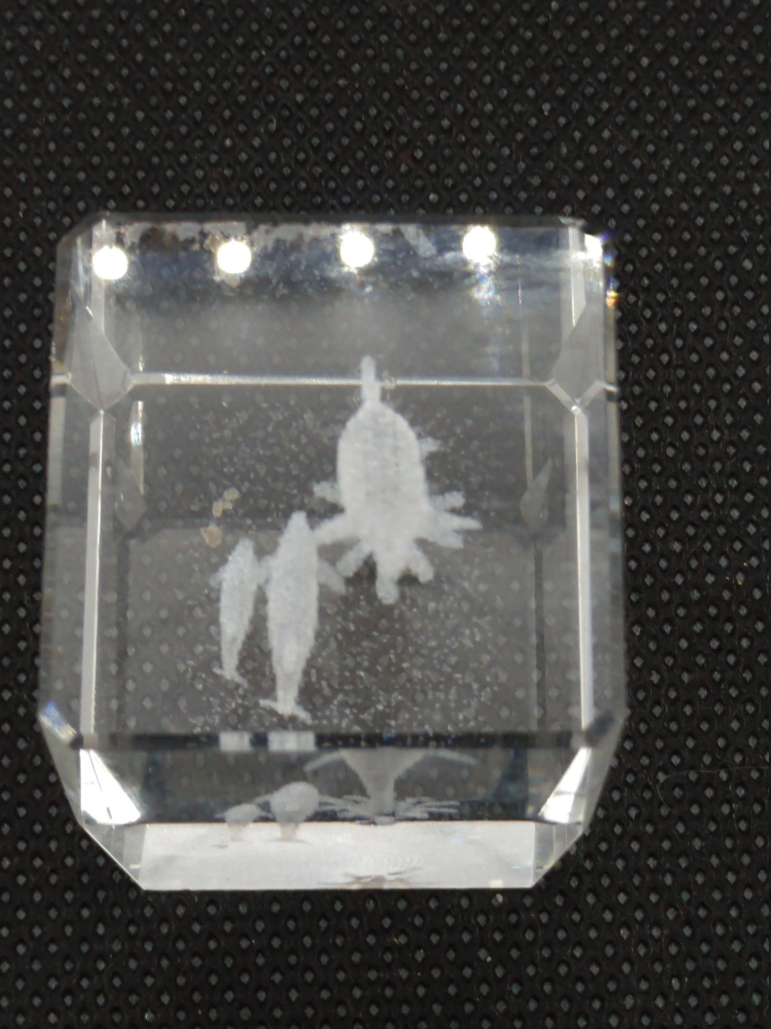 3D Laser Etched Glass Paperweight Featuring a Larger Dolphin Etsy