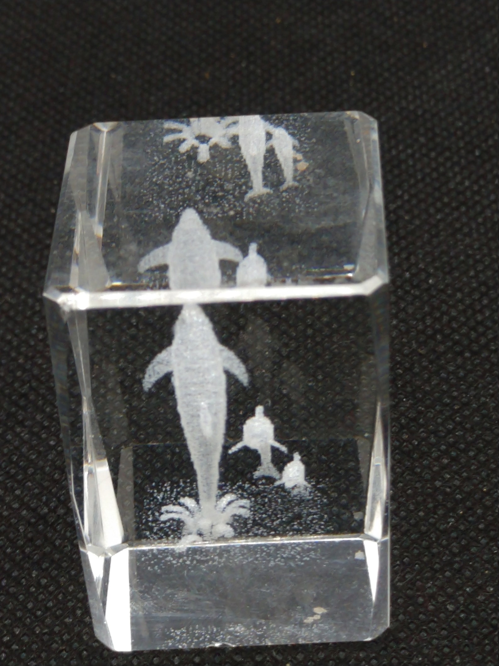 3D Laser Etched Glass Paperweight Featuring a Larger Dolphin Etsy