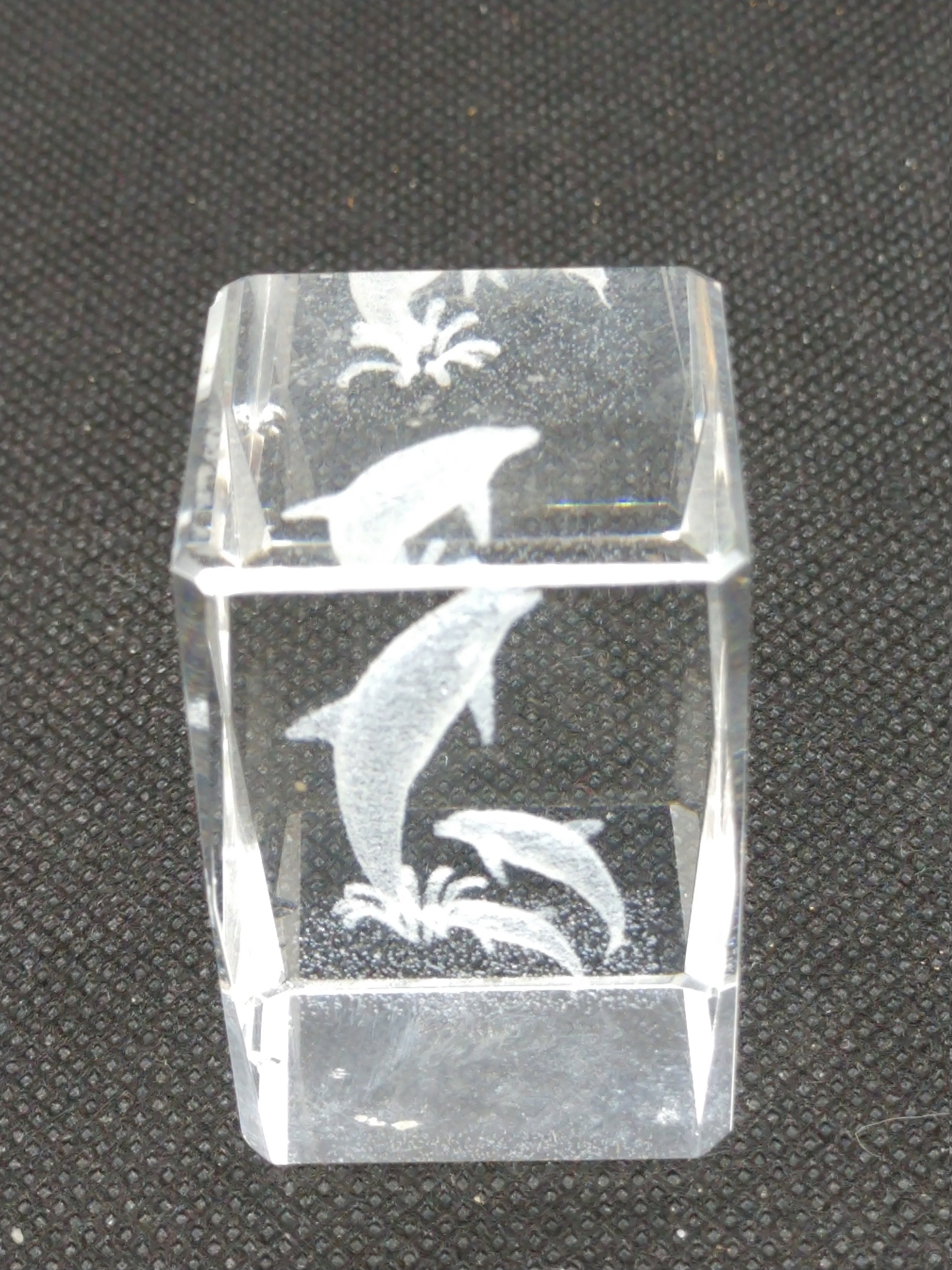 3D Laser Etched Glass Paperweight Featuring a Larger Dolphin Etsy