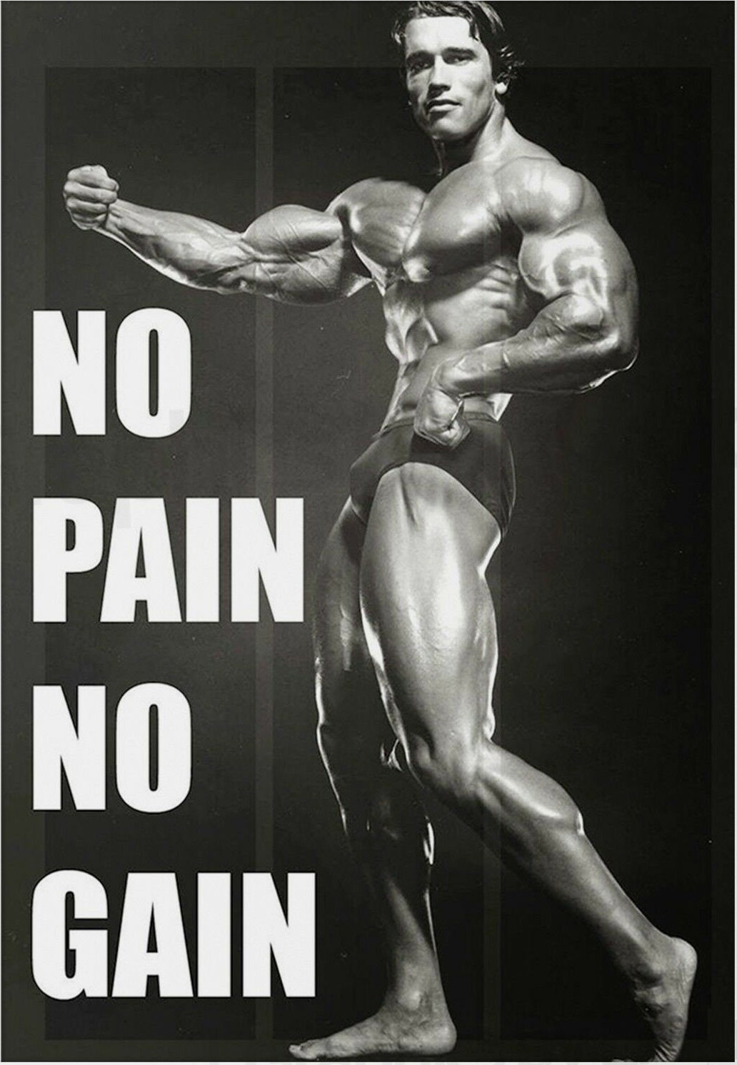 Arnold schwarzenegger gym workout motivational poster Etsy