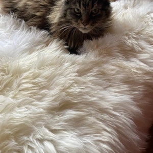 Luxury Australian Sheepskin Rug: Cream Ivory White Lambskin Fur Throw image 3