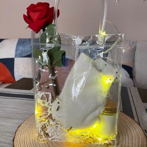 May include: A transparent tote bag containing a red rose, a white plush item, a small jar, and decorative filler. The bag is lit by yellow fairy lights and rests on a wooden slice.