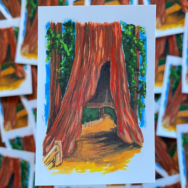 Yosemite Mariposa Grove, Sequoia 2"x3" Sticker