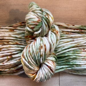 May include: A thick, bulky skein of yarn featuring a variegated color palette of cream, sage green, and burnt orange speckles. The yarn is wound into a twisted hank, showcasing a soft, roving-like texture with consistent, chunky plies throughout.