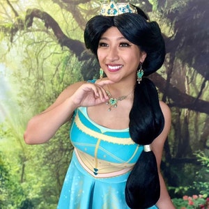 Disney princess cheap skater dress