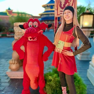 Dragon Whimsy Mushu Inspired Skater Dress – Princess Costume, Disneybounding, Cruise, Marathon, Halloween