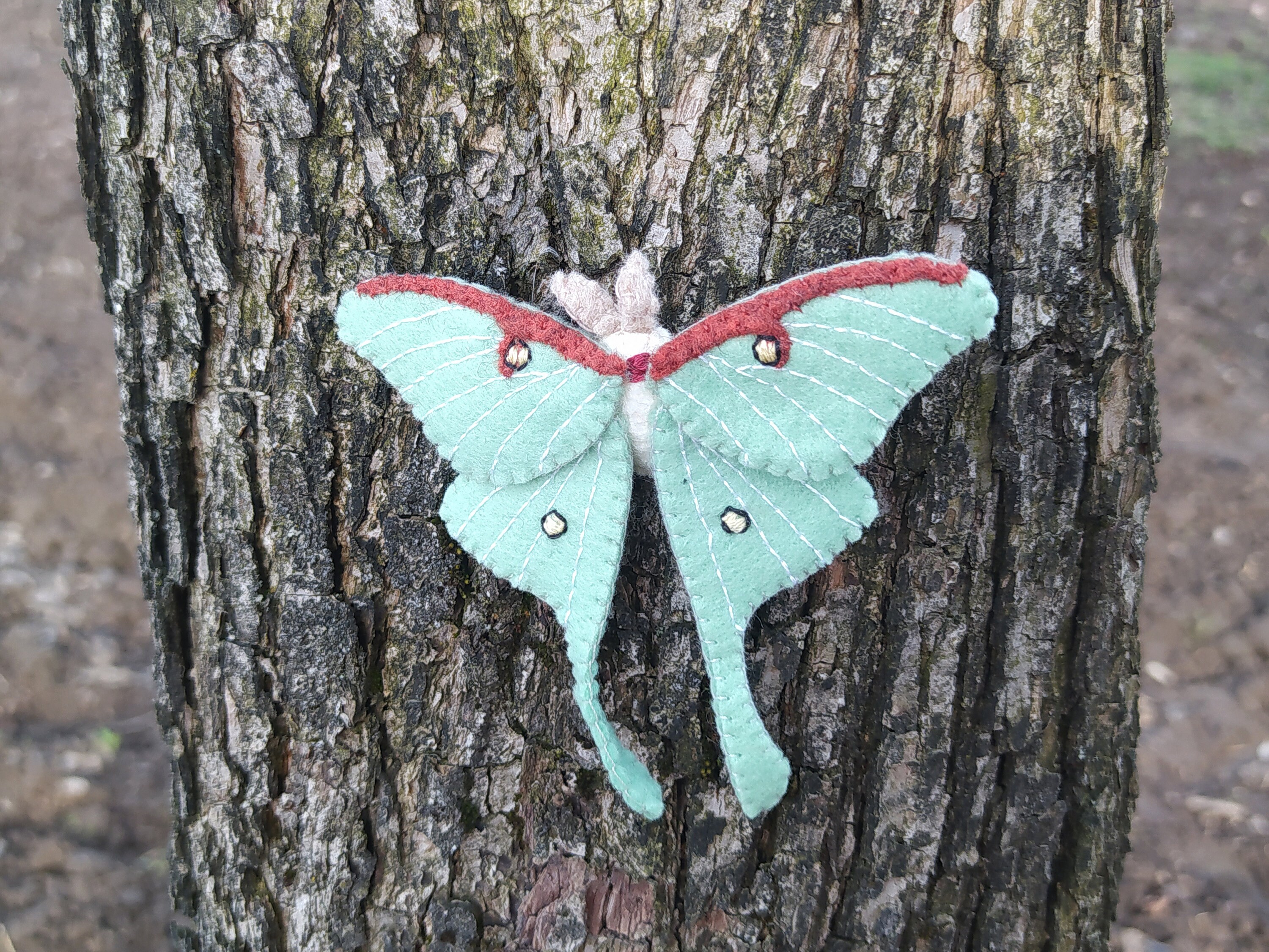 Felt Luna Moth PDF Pattern Butterfly Ornament Sewing Etsy