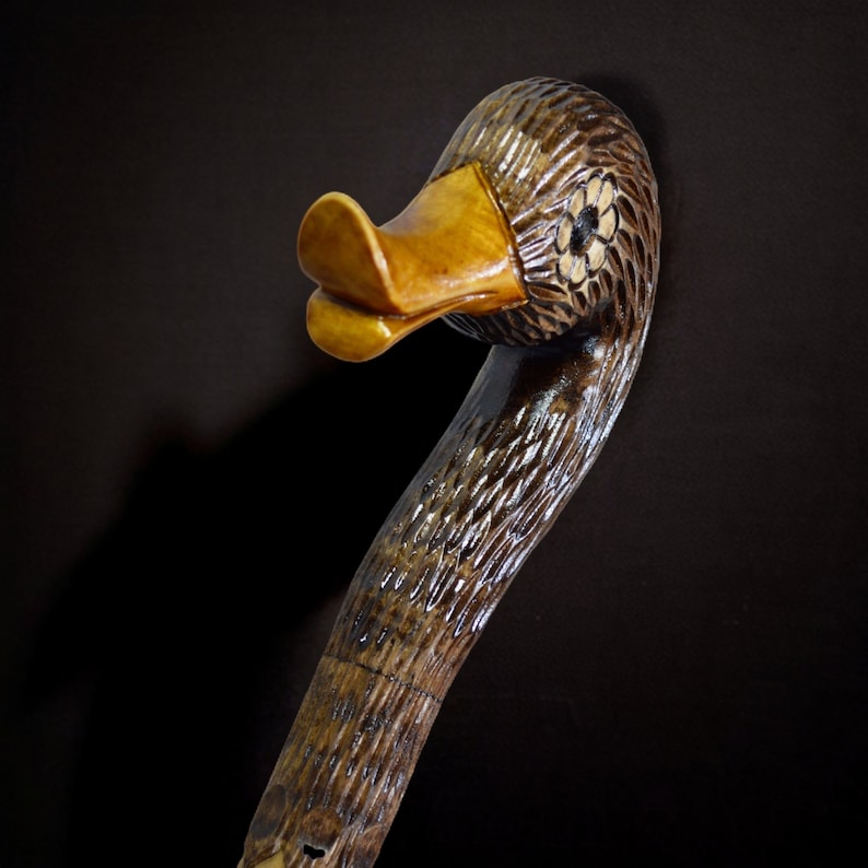 May include: A wooden walking stick carved in the shape of a duck's head. The duck's beak is a light brown color and the rest of the stick is a dark brown color.