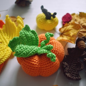 Herbstdekorationen Häkelanleitungen-Bundle