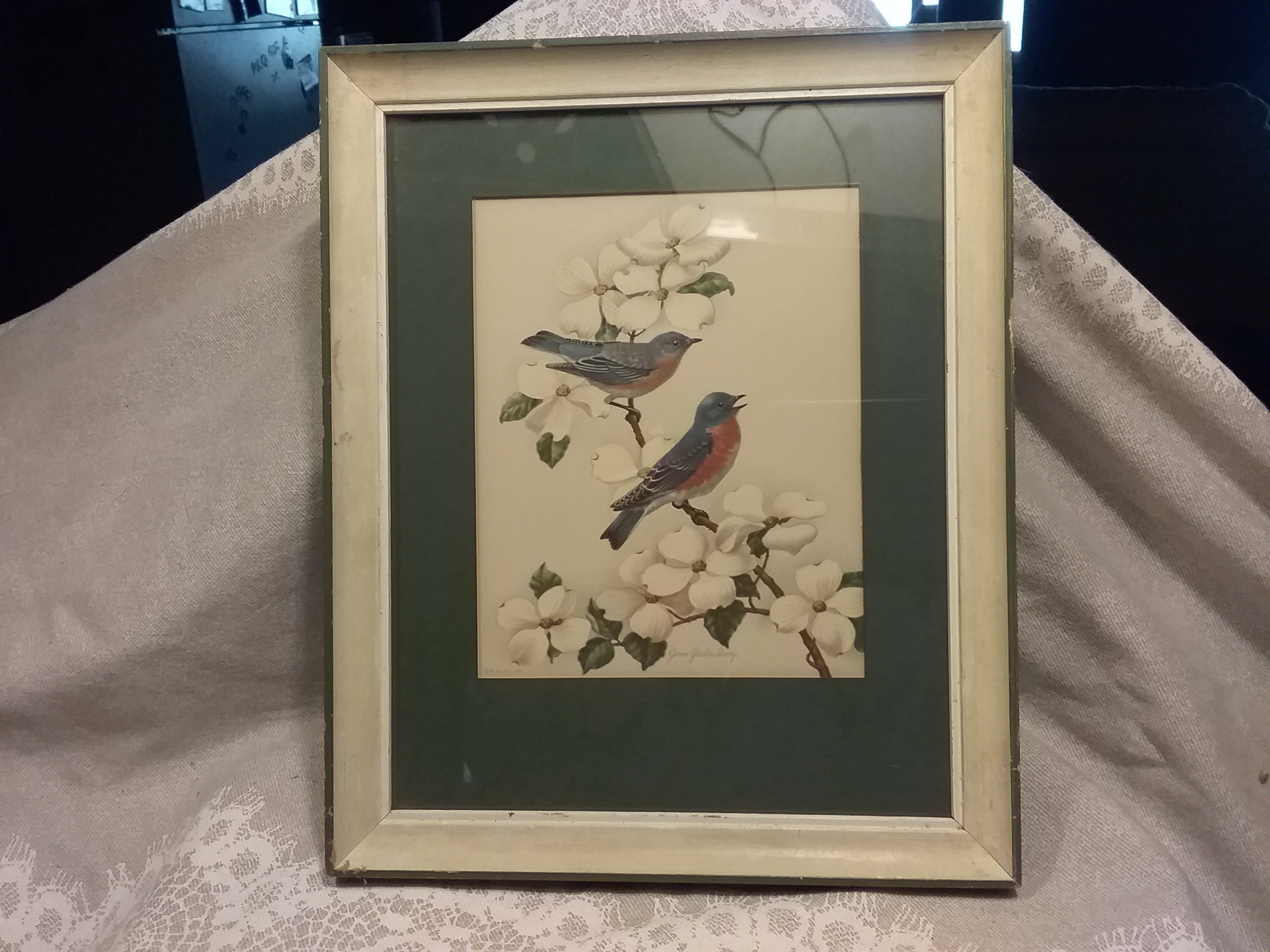 Vintage Bird Print Bluebirds & Dogwood by James Gordon Irving | Etsy