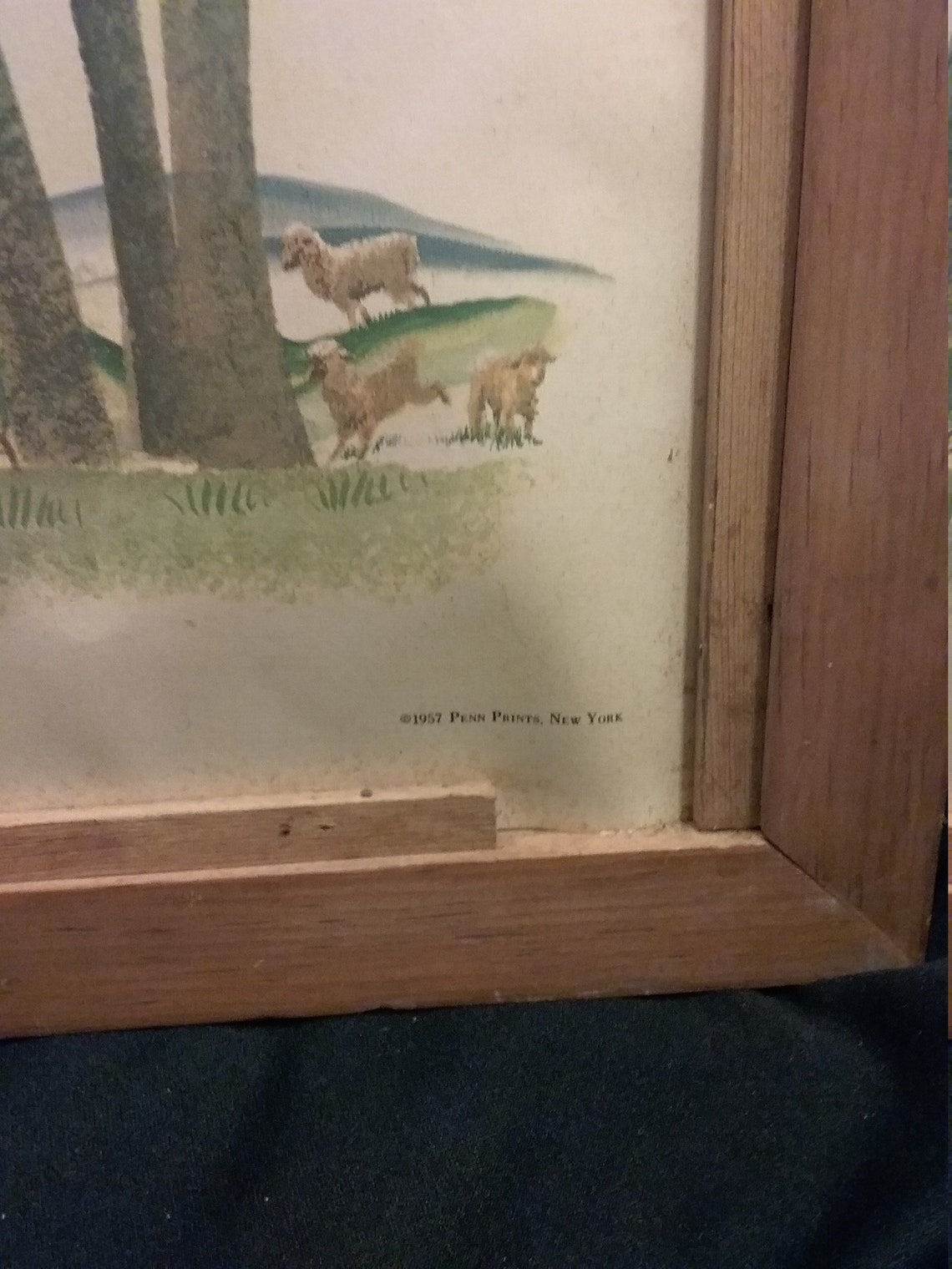 Northern Tissue Girl Print Framed 1960's Etsy