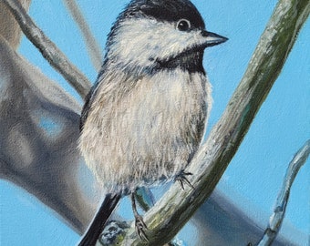 Chickadee Fine Art Print | Richmond Art | Bird Painting | Animal Painting | Richmond | Birds | Chickadee