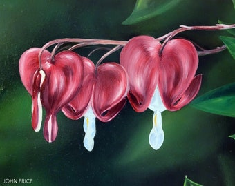 Bleeding Hearts Fine Art Print | Flower Art | Lewis Ginter Painting | Paintings of Flowers | Richmond | Richmond Virginia