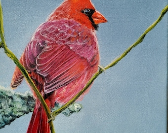 Cardinal Fine Art Print | Richmond Art | Bird Painting | Animal Painting | Richmond | Birds | Cardinal | Northern Cardinal